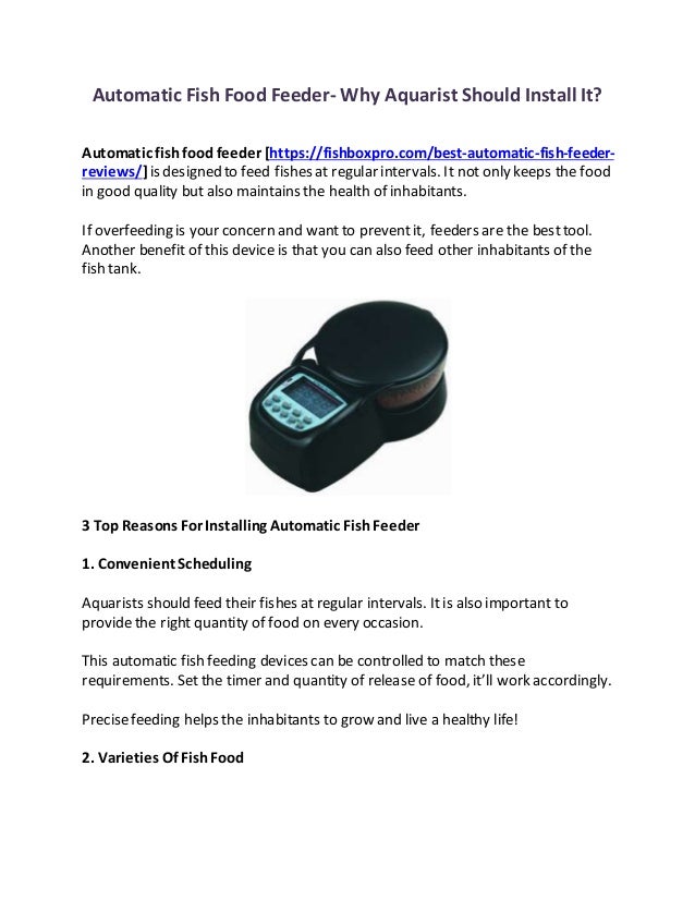 Automatic Fish Food Feeder Why Aquarist Should Install It