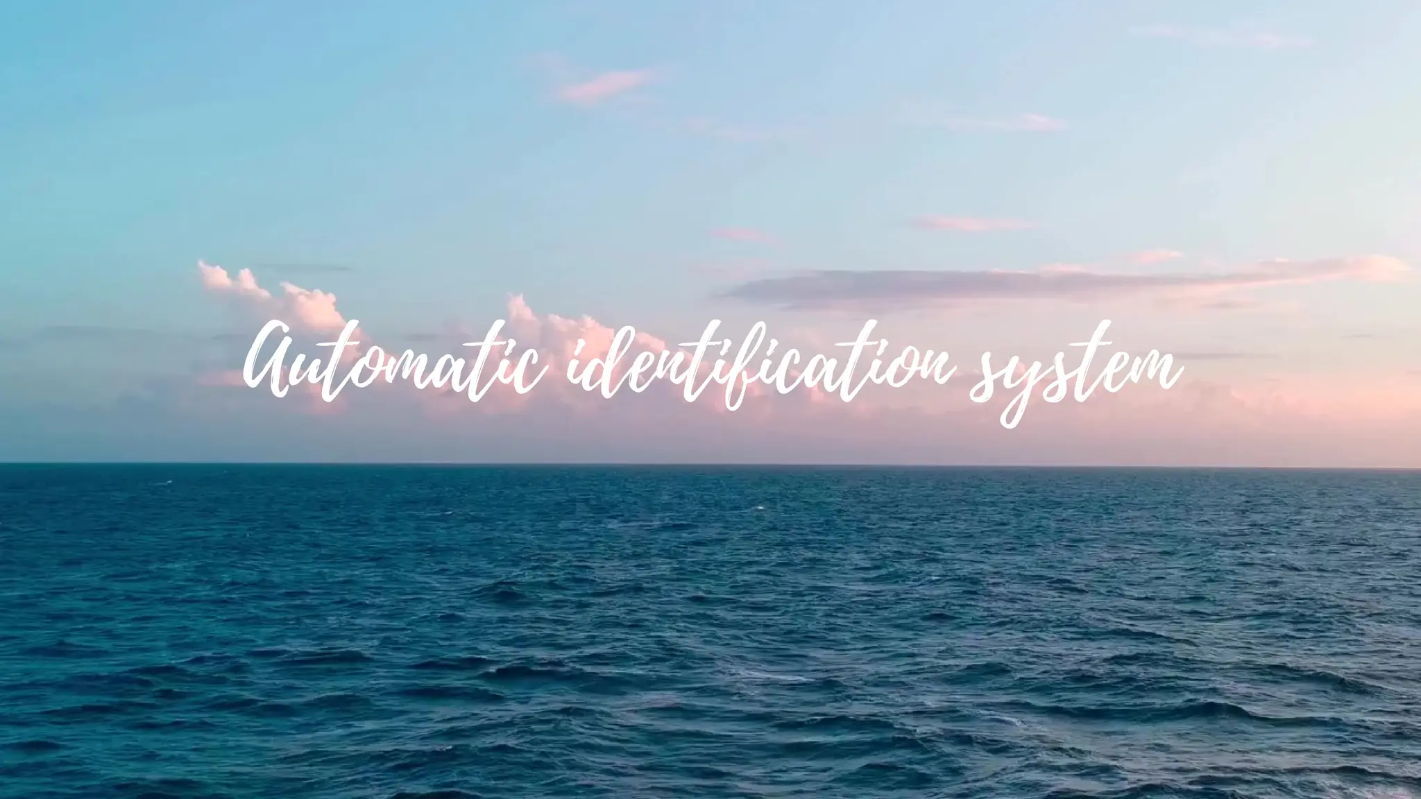 Automatic identification system
 