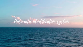 Automatic identification system
 
