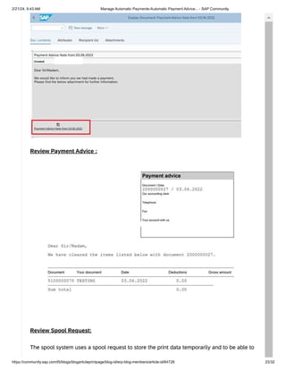 SAP-Automatic Payment Advice by Email.pdf