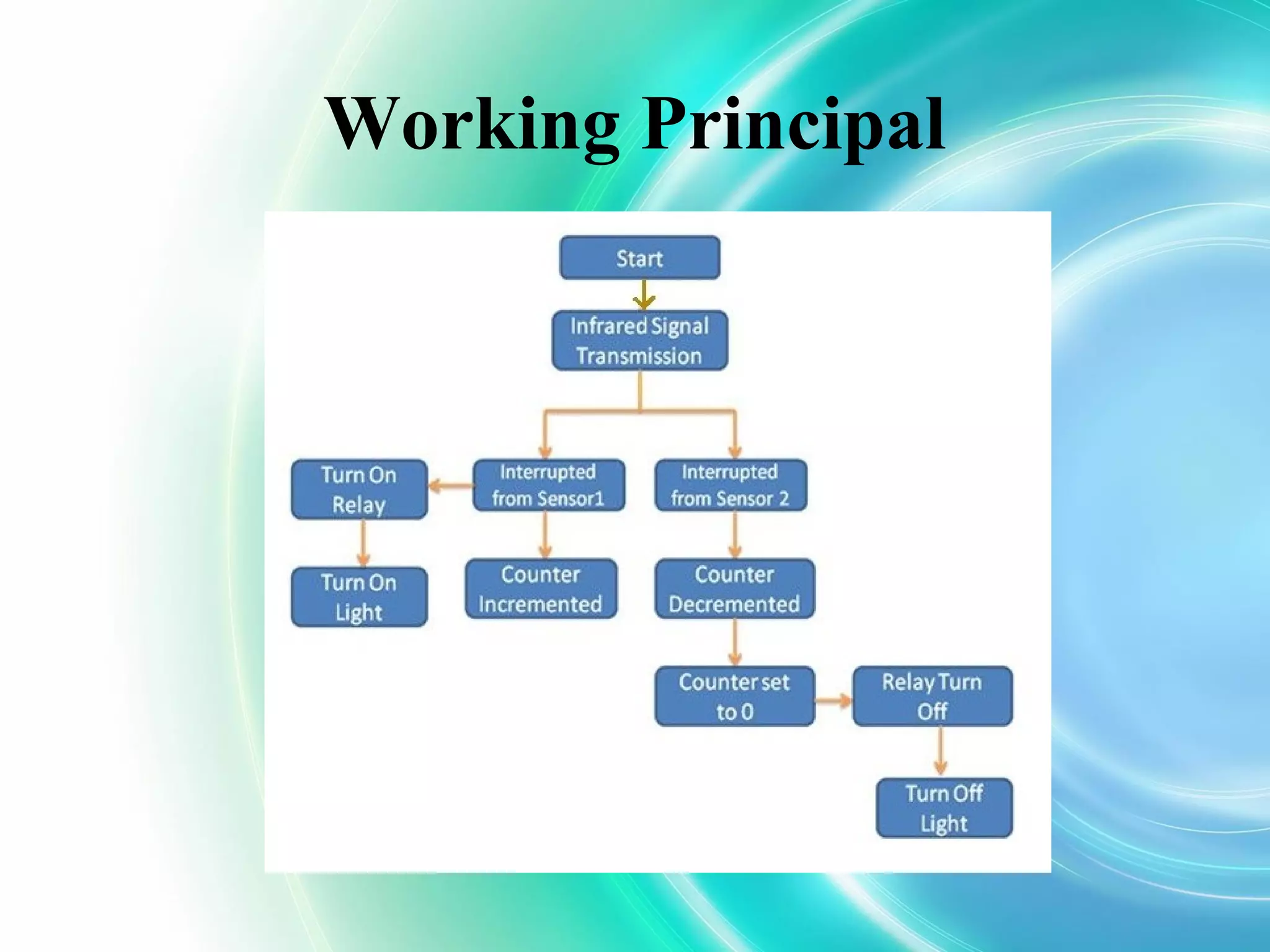 Working Principal
 