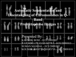 Automatic Segmentation and
Disentangling of Chromosomes in Q-
               Band
       Prometaphase Images


       Presented By:
       KAUSHIK BOSE - ECE/2009/003
       RAJENDRA PRASAD MITRA - ECE/2009/013
       SUMAN MANDAL - ECE/2009/022
       KOUSHIK BHATTACHARYYA - ECE/2009/018:
 