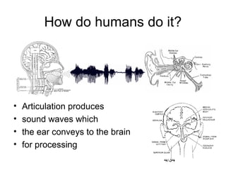 4/34
How do humans do it?
• Articulation produces
• sound waves which
• the ear conveys to the brain
• for processing
 