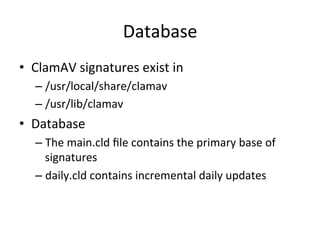 Database 
• ClamAV 
signatures 
exist 
in 
– /usr/local/share/clamav 
– /usr/lib/clamav 
• Database 
– The 
main.cld 
file 
contains 
the 
primary 
base 
of 
signatures 
– daily.cld 
contains 
incremental 
daily 
updates 
 