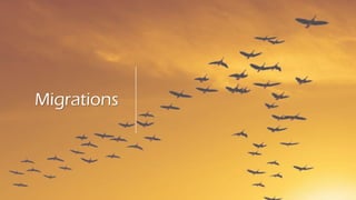 Migrations
 
