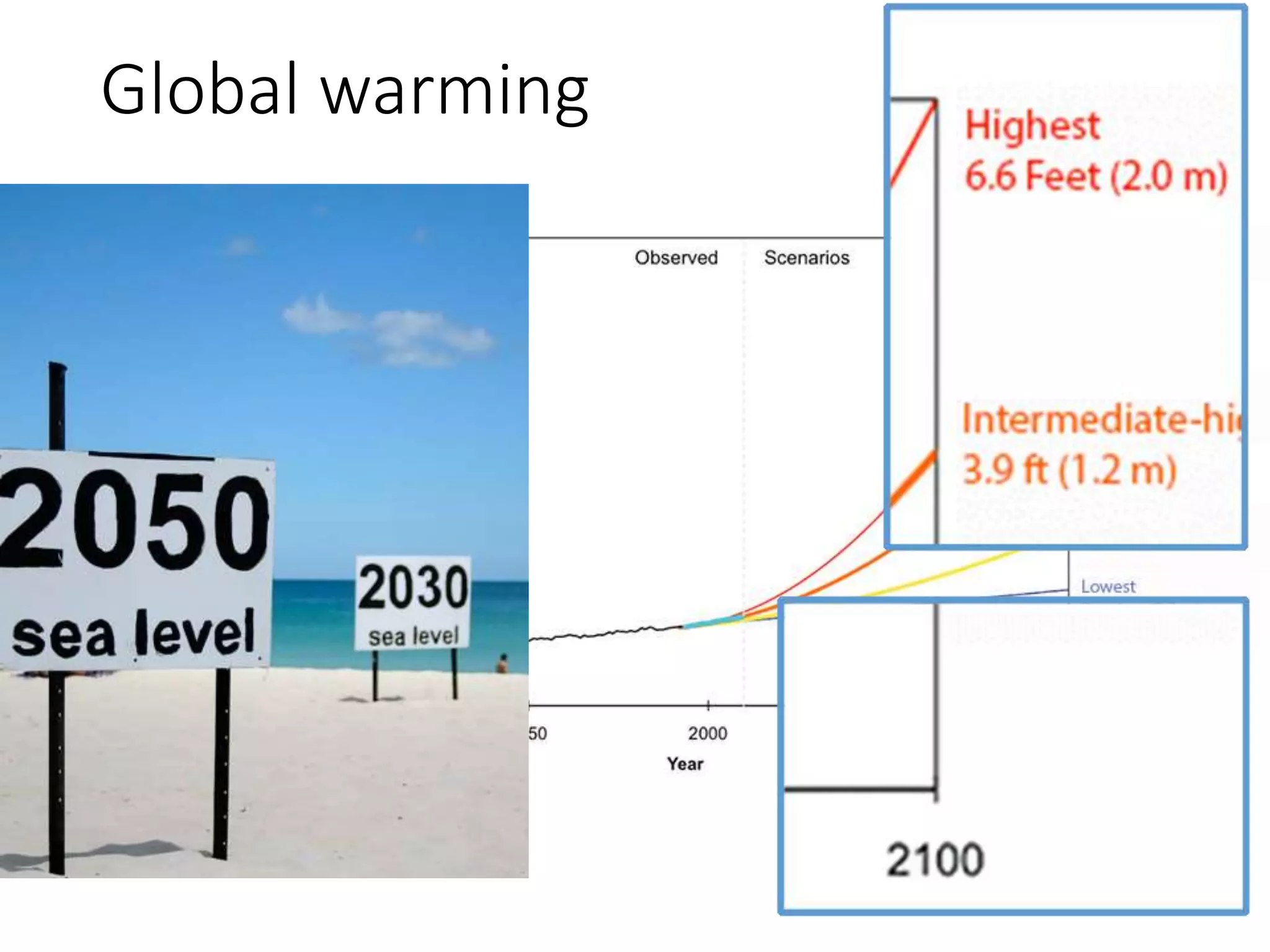 Global warming
 