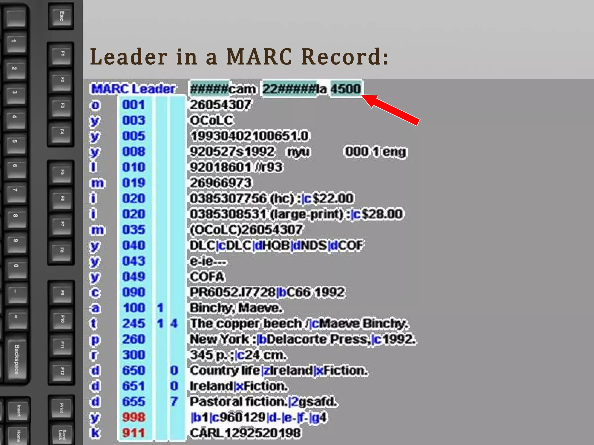 Leader in a MARC Record:
 