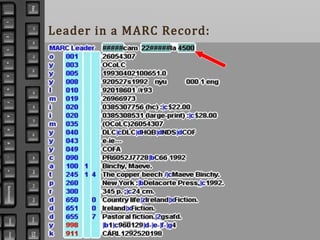 Leader in a MARC Record:
 
