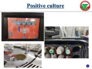 15
15
Positive culture
 
