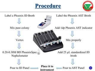 33
33
Procedure
Label a Phoenix ID Broth
Mix pure colony
Vertex
0.20-0.30M BD PhoenixSpec
Nephelometer
Pour to ID Panel
Label the Phoenix AST Broth
Add 1dp Phoenix AST indicator
Mix properly
Add 25 µL standardized ID
broth
Pour to AST Panel
Place it to
instrument
 