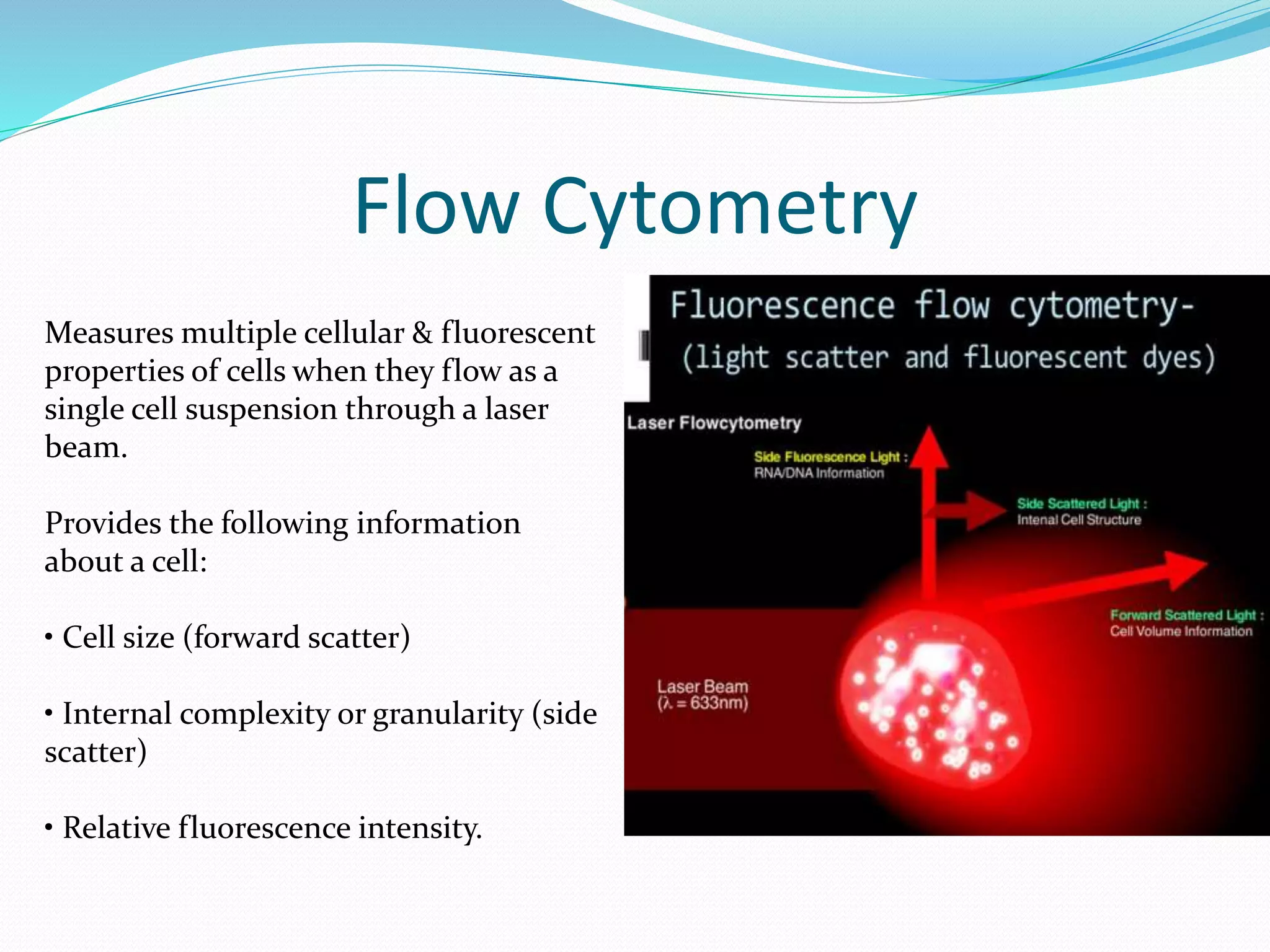 Flow Cytometry
Measures multiple cellular & fluorescent
properties of cells when they flow as a
single cell suspension through a laser
beam.
Provides the following information
about a cell:
• Cell size (forward scatter)
• Internal complexity or granularity (side
scatter)
• Relative fluorescence intensity.
 
