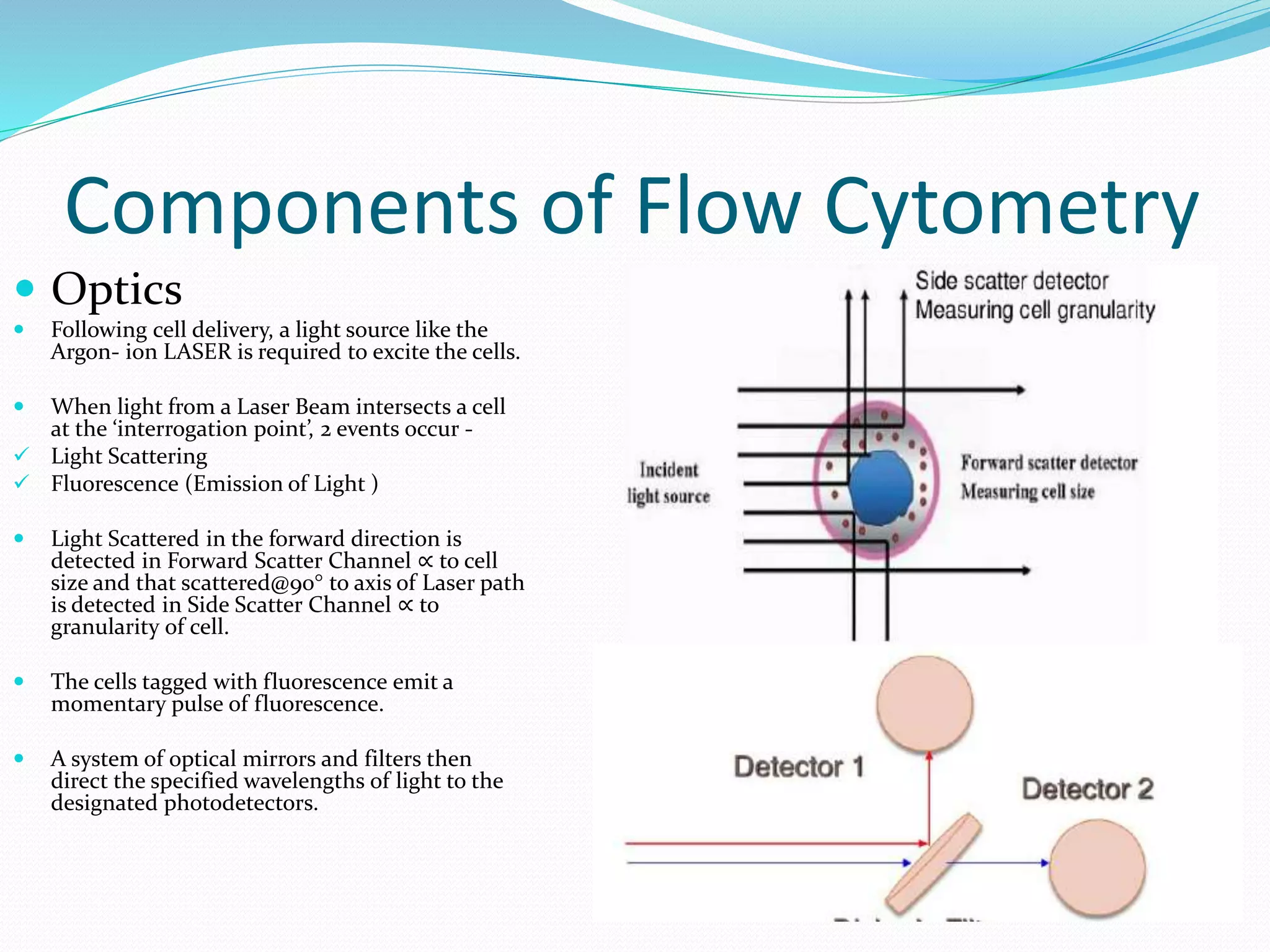Components of Flow Cytometry
 Optics
 Following cell delivery, a light source like the
Argon- ion LASER is required to excite the cells.
 When light from a Laser Beam intersects a cell
at the ‘interrogation point’, 2 events occur -
 Light Scattering
 Fluorescence (Emission of Light )
 Light Scattered in the forward direction is
detected in Forward Scatter Channel ∝ to cell
size and that scattered@90° to axis of Laser path
is detected in Side Scatter Channel ∝ to
granularity of cell.
 The cells tagged with fluorescence emit a
momentary pulse of fluorescence.
 A system of optical mirrors and filters then
direct the specified wavelengths of light to the
designated photodetectors.
 