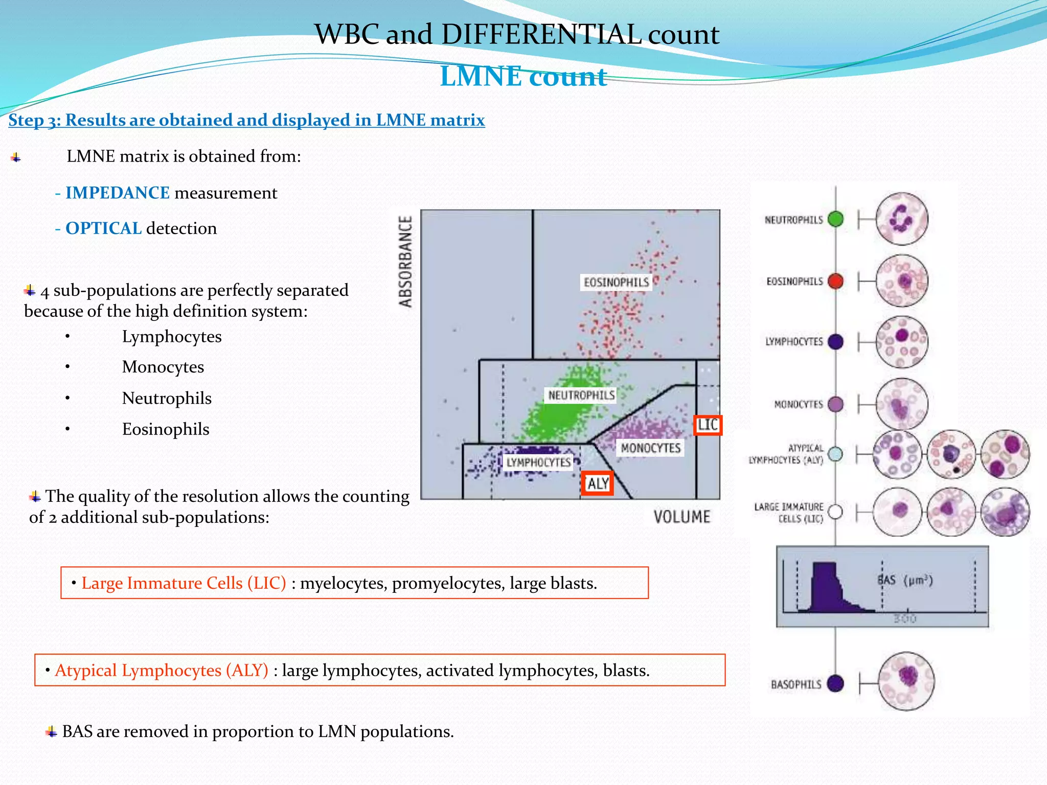 WBC and DIFFERENTIAL count
LMNE count
Step 3: Results are obtained and displayed in LMNE matrix
LMNE matrix is obtained from:
• Monocytes
• Lymphocytes
• Neutrophils
• Eosinophils
- IMPEDANCE measurement
- OPTICAL detection
4 sub-populations are perfectly separated
because of the high definition system:
The quality of the resolution allows the counting
of 2 additional sub-populations:
• Large Immature Cells (LIC) : myelocytes, promyelocytes, large blasts.
• Atypical Lymphocytes (ALY) : large lymphocytes, activated lymphocytes, blasts.
BAS are removed in proportion to LMN populations.
 