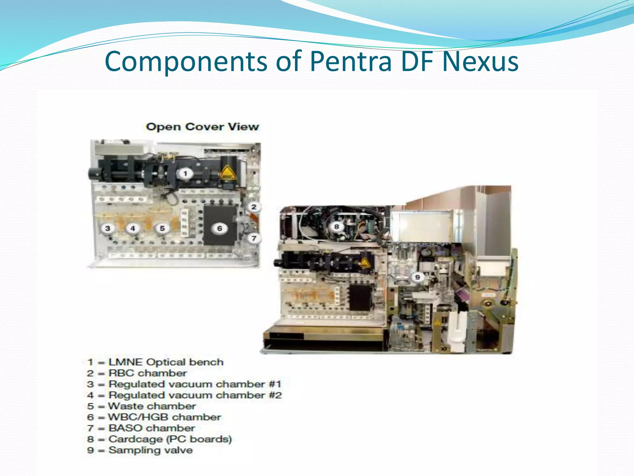 Components of Pentra DF Nexus
 