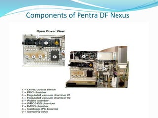 Components of Pentra DF Nexus
 