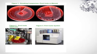 AUTOMATION IN MICROBIOLOGY | PPTX