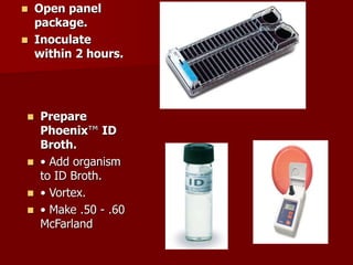 Phoenix Broth Bd Box Automation in microbiology, changing concept and defeating challenges ...
