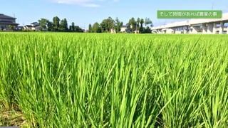 そして時間があれば農業の事
 