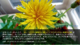 出典：タンポポとは (タンポポとは) [単語記事] - ニコニコ大百科
“ 近年インターネット上で、「誰にでもできる簡単な仕事」かつ「やりがいのない単調な仕事」を
表現する時に、もしくは「非常に過酷な仕事」を表現するネタとして、刺身の上にタンポポを
乗せる」という仕事がしばしば引き合いに出される。本当にそのような、タンポポを乗せる「だけ」
の仕事があり、その上きちんと給料が出るのかは不明。”
http://en.wikipedia.org/wiki/Taraxacum#/media/File:T_japonicum04.jpg
Creative Commons License
BY-SA 3.0
 
