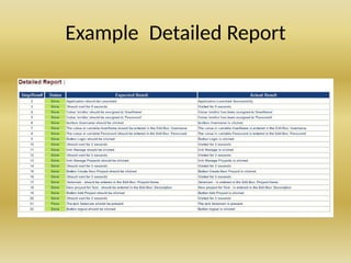 Example Detailed Report
 