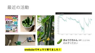 最近の活動
enebularでキュウリ育てました！
 