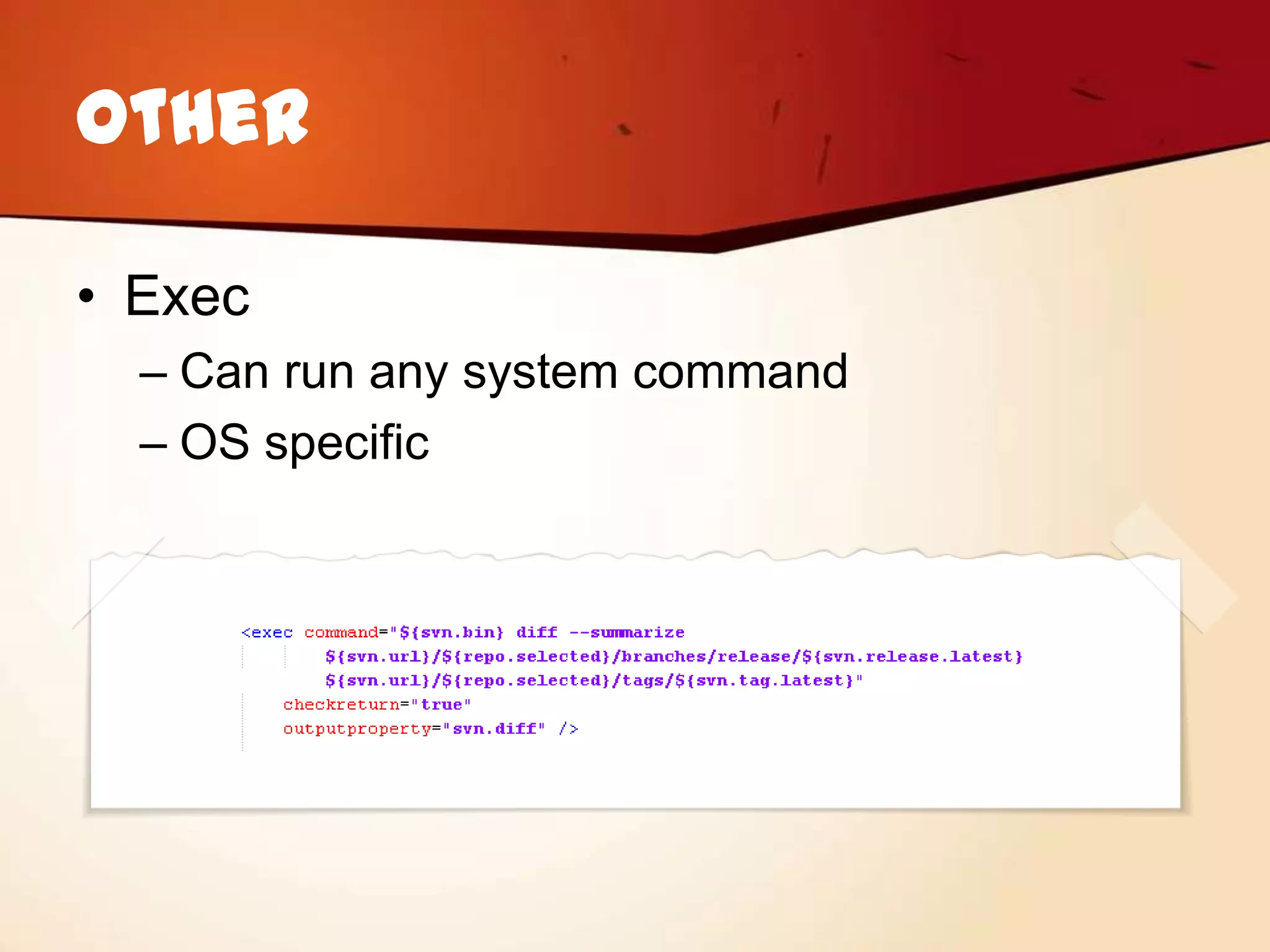 Other

• Exec
  – Can run any system command
  – OS specific
 