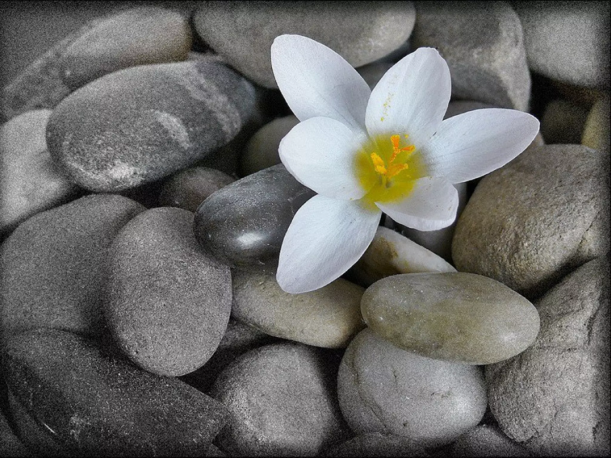 Automatisation shipping process