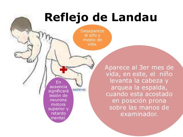 Los dolores en el vientre que dan en la espalda el tratamiento