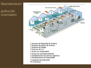 Representación  grafica del  invernadero 
