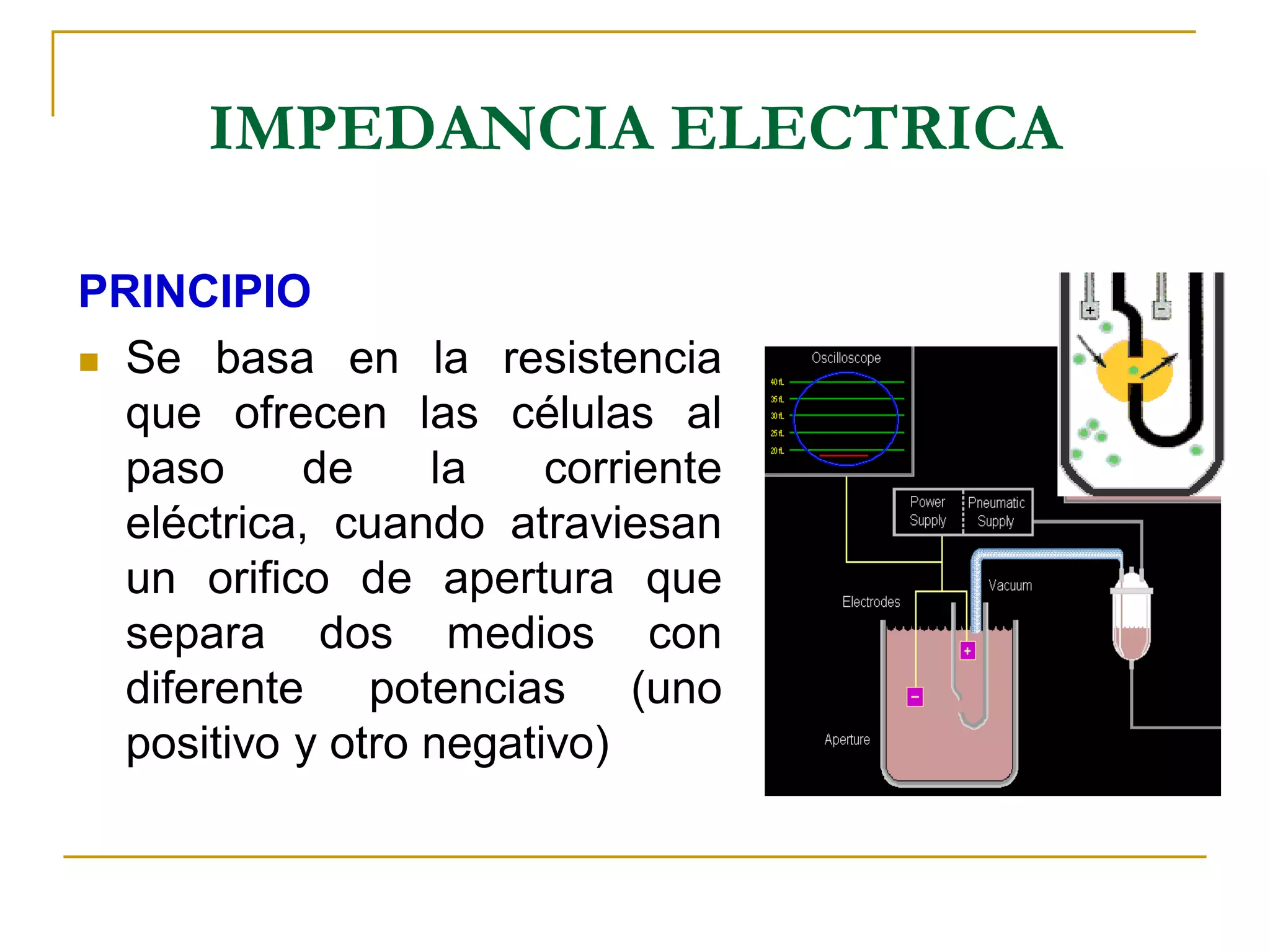 Automatizacion En Hematologia | PPT | Descarga Gratuita