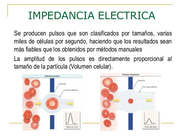 Automatizacion en hematologia