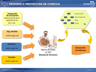 Proyección                                Proyecto Fundo
      de la Cosecha
                                                 Sistema Conducción
   Determinación de la
     aptitud y de las                            Fichas

        Ton. x Ha.                               Cuartel
                                                                  PS


      Seg. Versión
    Segunda Versión
      realiza carga real
     realiza carga real



       Versión n
       Versión n
     realiza carga real
    realiza carga real                            Generación
                            Ingreso de Datos      de Informes
                                 en SAP
                           Manejo de Versiones
        Cosecha
        Cosecha
     realiza carga real
    realiza carga real



ACTUALISAP CONSULTORES                                                 PÁGINA 10
 