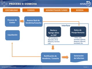 CONTABILIDAD          FUNDOS               ADMINISTRADOR FUNDO                    BODEGA



        Proceso de        Avance Real de
          Costeo         Vendimia/Cosecha
                                                                     Interfase

                                                    Revisa y                       Datos de
                                                  Agrega datos                   Pesaje Romana
        Liquidación                                  en SAP
                                                  - Nº Cortadores,                 - Ficha, Lote,
                                                  Operador, ID de                  Variedad, Aptitud,
                                                  Máquina, Termino                 Maquina, Manual,
                                                  Lote                             Densidad, Día.




                                              Notificación de                      Generación
                                            Vendimia / Cosecha                     de Informes



ACTUALISAP CONSULTORES                                                                           PÁGINA 11
 
