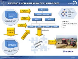 Fundo                                     Proyecto
                                   Imputación                                                                  Fundo
                                     directa
                                                                                                               Sist. Conducc.

              Ordenes de                                   Sistema Conducción                                  Fichas
              compra                                                                                           Cuartel
                                  Imputación
                                    directa
     Gastos por contratos,                              Ficha                   Ficha
      por materiales, etc..                                                                           Atributos:
                                                                                                       Sistema de conducción
                              Imputación
                                directa                                                                Ficha
                                                Lote 1      Lote 2           Lote 3          Lote 4
                                                                                                       Etc.

          Imputación                                                 Liquidación
            directa




                                                                                      Liquidación
           Ordenes de CO
           para Distribuir


    Sistema de conducción
             Ficha                                                                                    Activos Fijos

ACTUALISAP CONSULTORES                                                                                               PÁGINA 9
 