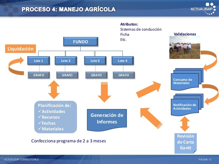Actualisap: Automatizacion Procesos Agricolas