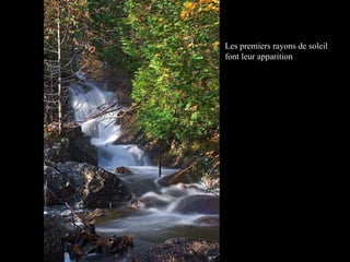 Les premiers rayons de soleil font leur apparition 