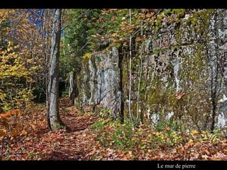 Le mur de pierre 