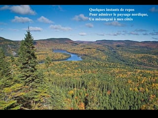 Quelques instants de repos Pour admirer le paysage nordique, Un mésangeai à mes côtés 