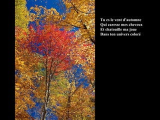 Tu es le vent d’automne Qui caresse mes cheveux Et chatouille ma joue Dans ton univers coloré 