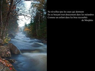 Ne réveillez-pas les eaux qui dorment En se berçant tout doucement dans les méandres Comme un enfant dans les bras recourbés    de Morphée 