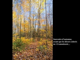 Souvenirs d’automne, avant que les décors colorés ne s’évanouissent…