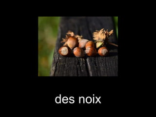 des noix