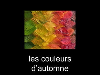 les couleurs
d’automne