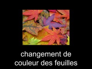 changement de
couleur des feuilles