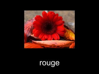 rouge