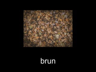 brun