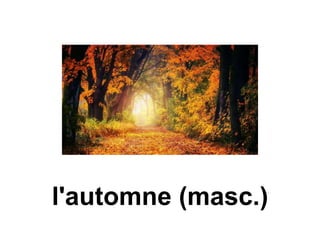 l'automne (masc.)