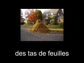 des tas de feuilles