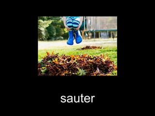 sauter