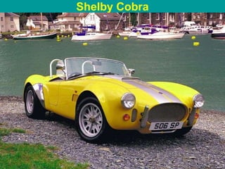 Shelby Cobra 